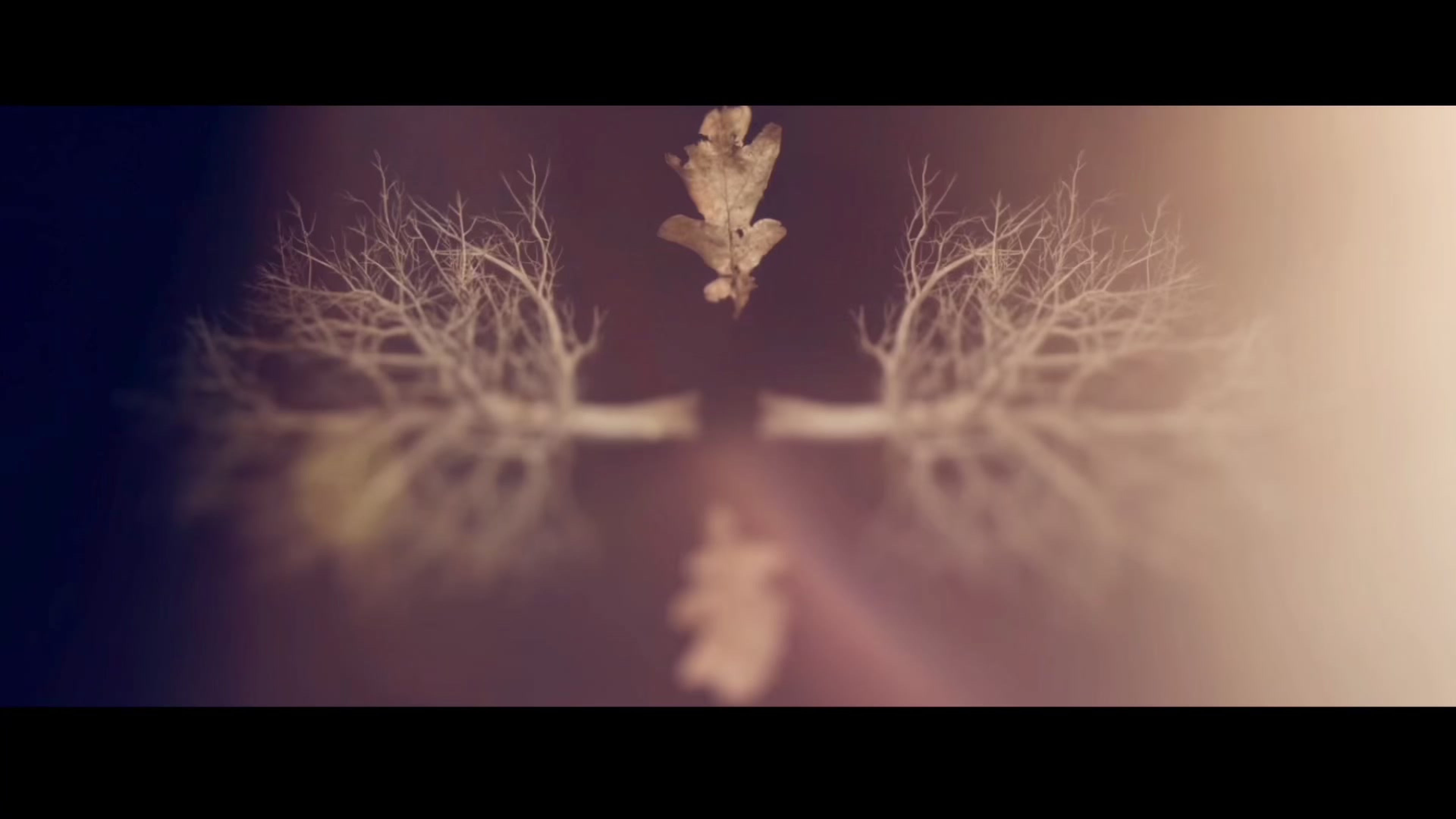 Rain or Shine Montage